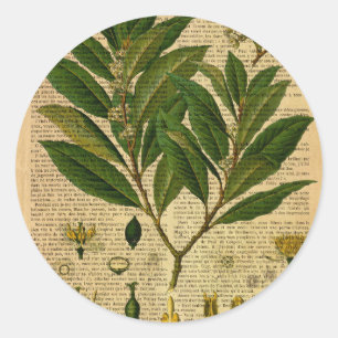Botanische print op oude boekpagina ronde sticker