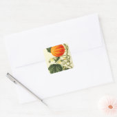 botanische print van pompoen. vierkante sticker (Envelop)