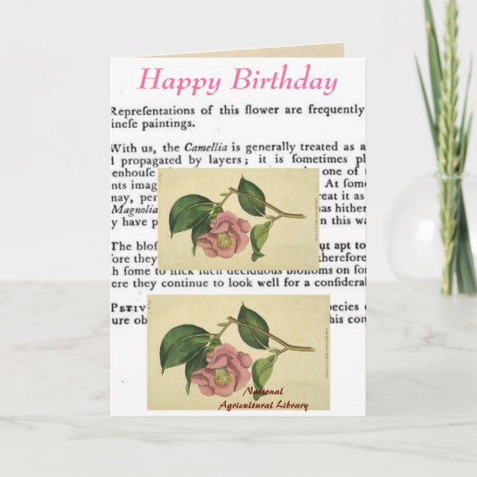 Botanische Print Verjaardag Kaart (Voorkant)