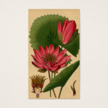  botanische printroze waterLily Lotus