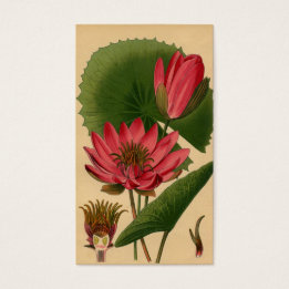  botanische printroze waterLily Lotus Visitekaartje