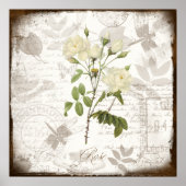  botanische prints ~ Engels Roos (Voorkant)