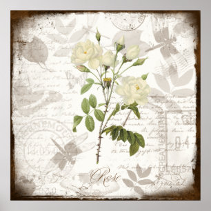  botanische prints ~ Engels Roos