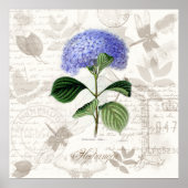  botanische prints Heirloom Hydrangea (Voorkant)