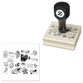 Botanische producten en  paddenstoelen rubberstempel
