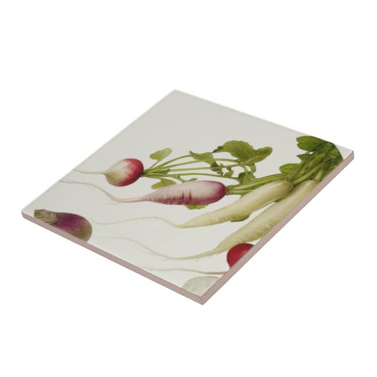 Botanische radijzen tegeltje (Zijkant)