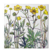 Botanische Ranunculus Wildflower Flowers Tile Tegeltje (Voorkant)