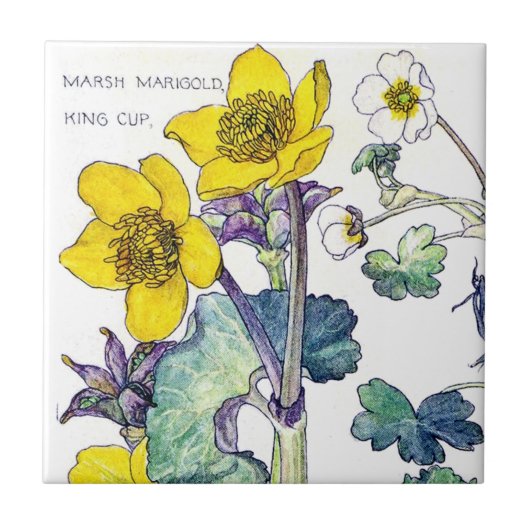 Botanische Ranunculus Wildflower Flowers Tile Tegeltje (Voorkant)
