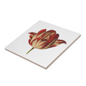 botanische restanten tulp keramische tegel tegeltje (Zijkant)