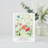Botanische Rocky Mountain Bloemen Briefkaart (Staand voorkant)