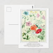 Botanische Rocky Mountain Bloemen Briefkaart (Voorkant / Achterkant)