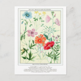 Botanische  Rocky Mountain Bloemen Briefkaart