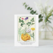 Botanische Rocky Mountain Wildflowers Briefkaart (Staand voorkant)