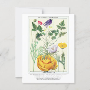 Botanische  Rocky Mountain Wildflowers Briefkaart