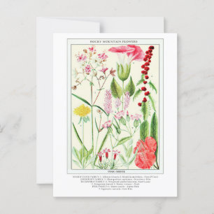 Botanische  Rocky Mountain Wildflowers Briefkaart