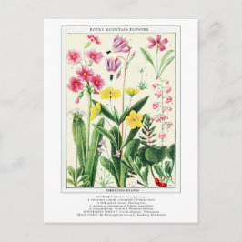 Botanische  Rocky Mountain Wildflowers Briefkaart