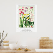 Botanische Rocky Mountain Wildflowers Poster (Keuken)