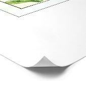 Botanische Rocky Mountain Wildflowers Poster (Hoek)