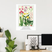 Botanische Rocky Mountain Wildflowers Poster (Thuiskantoor)