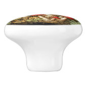 Botanische rode Amanita Muscaria 3D Effect Mushroo Keramische Knop (Zijkant)