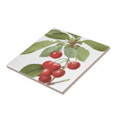 Botanische rode kersen tegeltje (Zijkant)