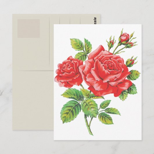 Botanische  rode rozen briefkaart (Voorkant / Achterkant)
