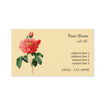 botanische rode rozenbloem geel