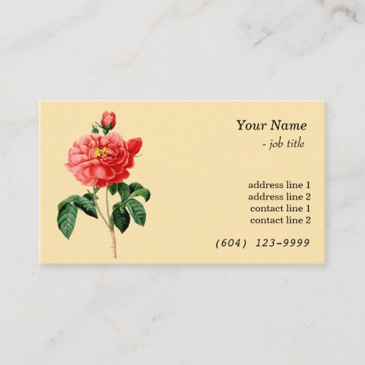  botanische rode rozenbloem geel visitekaartje (Voorkant)
