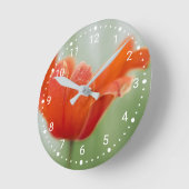 Botanische rode tulp bloem natuur fotografie ronde klok (Hoek)