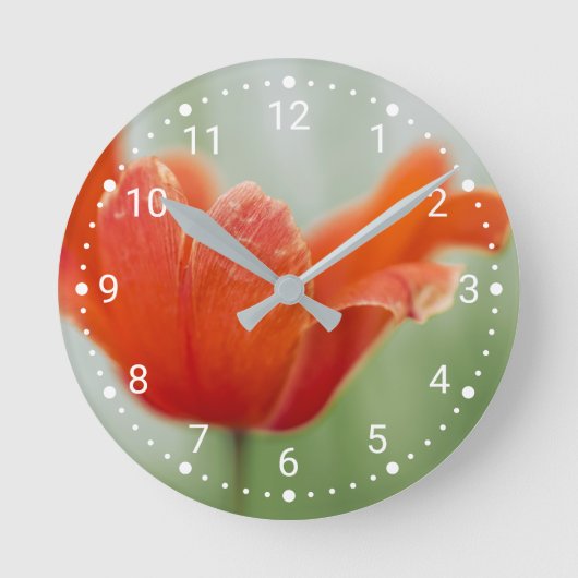 Botanische rode tulp bloem natuur fotografie ronde klok (Voorkant)