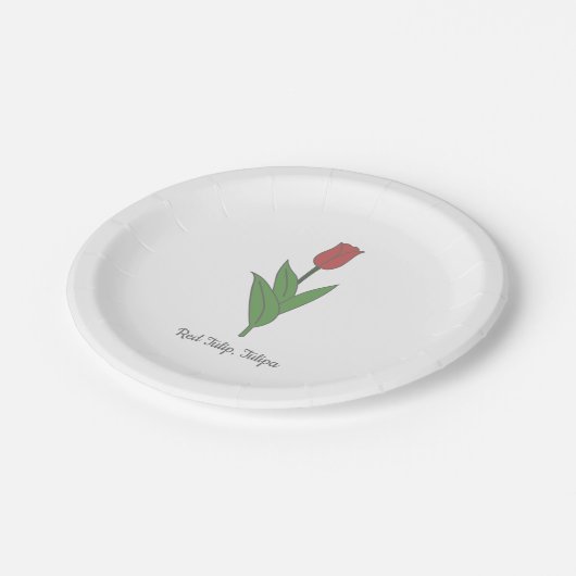 Botanische rode tulp pastel bloem papieren bordje (Gekanteld)