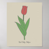 Botanische rode tulp pastel bloem poster (Voorkant)