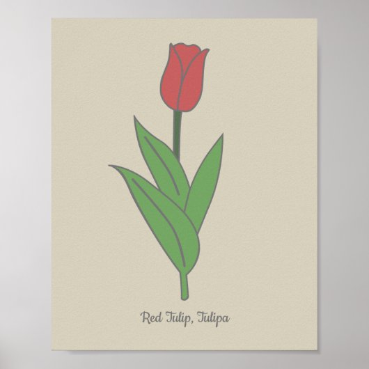Botanische rode tulp pastel bloem poster (Voorkant)