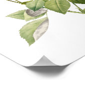 Botanische Rosa indica Cruenta Redoute Poster (Hoek)