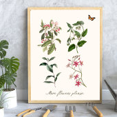Botanische  roze bloei-schrijfmachine poster