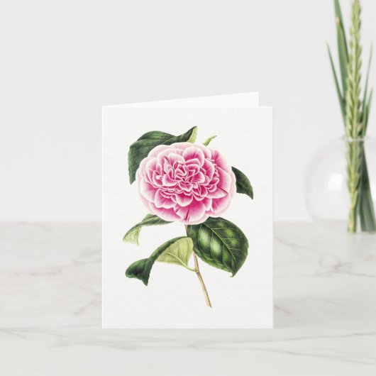  Botanische Roze Camellia Note Kaart (Voorkant)