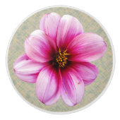 Botanische roze Dahlia-ventilator op elke kleur Keramische Knop (Voorkant)