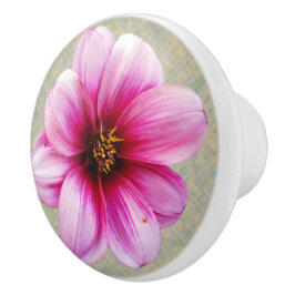 Botanische roze Dahlia-ventilator op elke kleur Keramische Knop