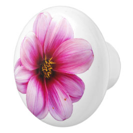 Botanische roze Dahlia-ventilator op elke kleur Keramische Knop