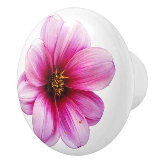 Botanische roze Dahlia-ventilator op elke kleur Keramische Knop (Rechts)