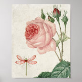 botanische roze en dragonfly poster (Voorkant)