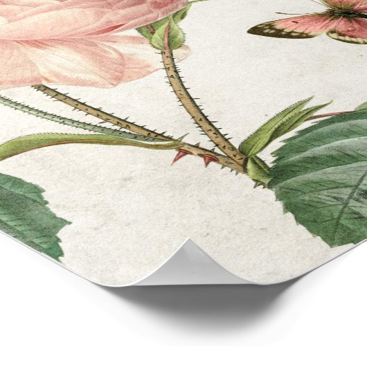  botanische roze en vlinder poster (Hoek)