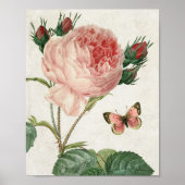  botanische roze en vlinder poster (Voorkant)