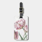 Botanische roze en witte Tulp Illustratie Bagagelabel (Voorkant verticaal)