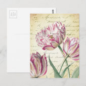 Botanische roze en witte Tulp Illustratie Briefkaart (Voorkant / Achterkant)