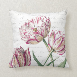 Botanische roze en witte Tulp Illustratie Kussen