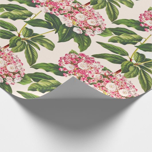  Botanische Roze Mountain Laurel Flower Cadeaupapier (Hoek)