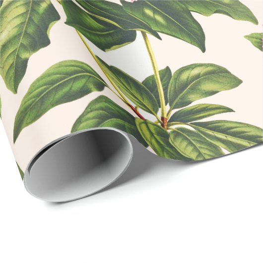  Botanische Roze Mountain Laurel Flower Cadeaupapier (Rol Hoek)