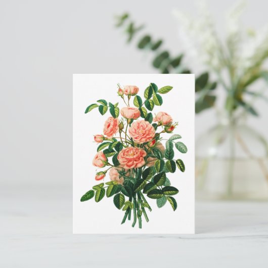 Botanische roze Peony Bokeh Briefkaart (Staand voorkant)