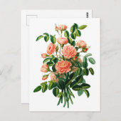 Botanische roze Peony Bokeh Briefkaart (Voorkant / Achterkant)
